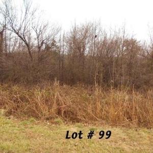 Photo #1 of #99 River Chase, Eden, NC 0.5 acres