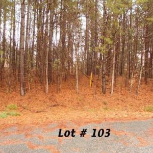 Photo #1 of #103 Deer, Eden, NC 1.0 acres