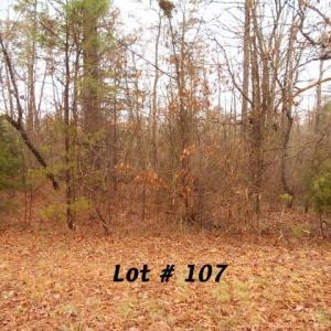 Photo #1 of #107 Deer, Eden, NC 0.8 acres