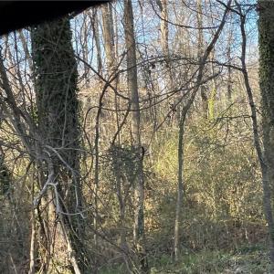 Photo #4 of 3605 Ten, Efland, NC 9.1 acres