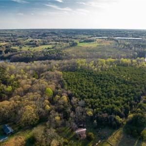 Photo #13 of 1316 NC Highway 61, Whitsett, NC 40.3 acres