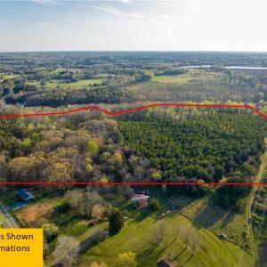 Photo #3 of 1316 NC Highway 61, Whitsett, NC 40.3 acres