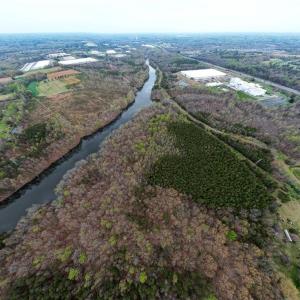 Photo #1 of 1316 NC Highway 61, Whitsett, NC 40.3 acres