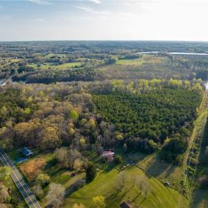 Photo #14 of 1316 NC Highway 61, Whitsett, NC 40.3 acres