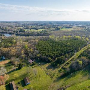 Photo #4 of 1316 NC Highway 61, Whitsett, NC 40.3 acres