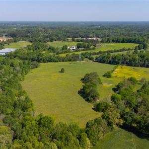 Photo #7 of Macedonia Loop, Liberty, NC 59.9 acres