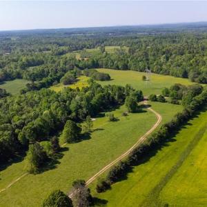 Photo #5 of Macedonia Loop, Liberty, NC 59.9 acres