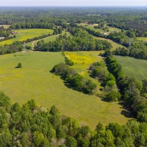 Photo #10 of Macedonia Loop, Liberty, NC 59.9 acres