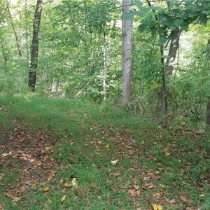 Photo #1 of 12 Noel, Stoneville, NC 0.9 acres