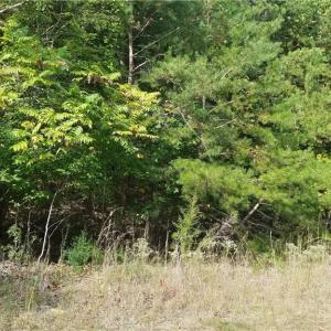 Photo #3 of 12 Noel, Stoneville, NC 0.9 acres