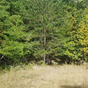 Photo #3 of 13 Noel, Stoneville, NC 0.8 acres