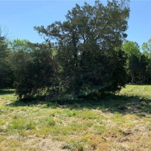 Photo #23 of Vance Street, Reidsville, NC 8.1 acres