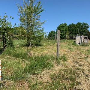 Photo #24 of Vance Street, Reidsville, NC 8.1 acres