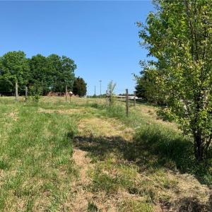 Photo #29 of Vance Street, Reidsville, NC 8.1 acres