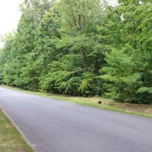 Photo #7 of 238 Bluff, Salisbury, NC 1.1 acres