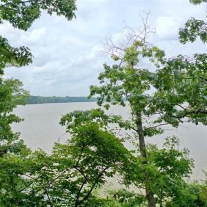 Photo #14 of 238 Bluff, Salisbury, NC 1.1 acres