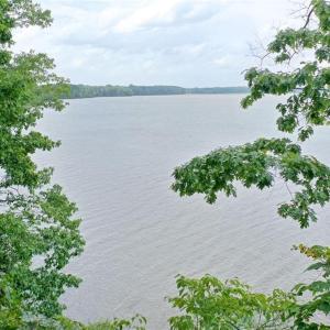 Photo #5 of 238 Bluff, Salisbury, NC 1.1 acres