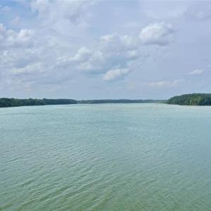 Photo #11 of 238 Bluff, Salisbury, NC 1.1 acres