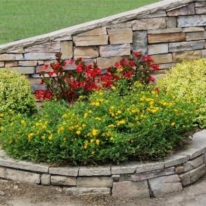 Photo #8 of 238 Bluff, Salisbury, NC 1.1 acres