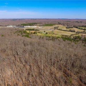 Photo #6 of Doul Mountain, Asheboro, NC 78.0 acres
