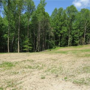 Cleared Part of Lot