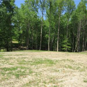 Creek runs through the middle of the wooded area which is also the property line