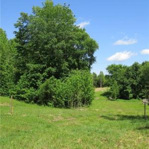 View from where the turn in the driveway would be to get back to the cleared land