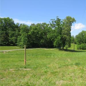 This is the view from the street where the driveway would be installed by the new owner.