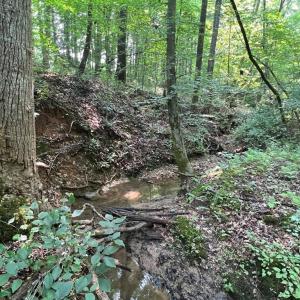 Photo #6 of 5.25 Ac Capella Ridge, King, NC 5.3 acres