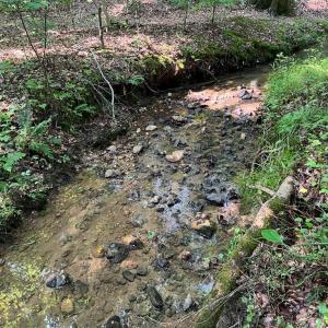 Photo #3 of 5.25 Ac Capella Ridge, King, NC 5.3 acres