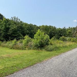 Photo #5 of 5.25 Ac Capella Ridge, King, NC 5.3 acres