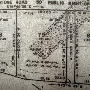 Stump disposal area, done maybe around 1995?
