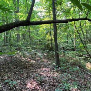 Photo #8 of 5.25 Ac Capella Ridge, King, NC 5.3 acres