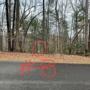 Lot 8