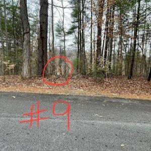 Lot 9