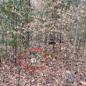 Lot 15
