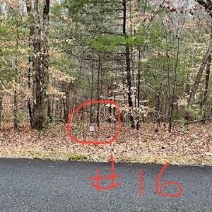 Lot 16
