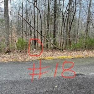 Lot 18