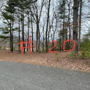 Lot 20
