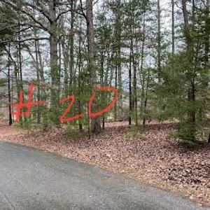 Lot 20