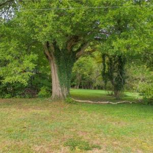 Photo #26 of 737 Joyce, High Point, NC 42.8 acres