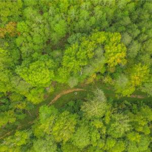 Photo #17 of 737 Joyce, High Point, NC 42.8 acres