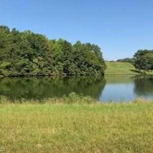 Photo #1 of 7602 Whisper Hollow, Lewisville, NC 1.1 acres