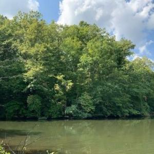 Photo #1 of 7633 Whisper Hollow, Lewisville, NC 3.6 acres