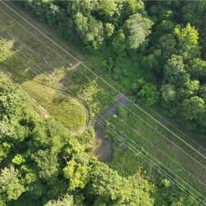 Photo #22 of 236, 246 Willowlake, Greensboro, NC 12.6 acres