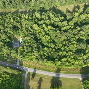 Photo #10 of 236, 246 Willowlake, Greensboro, NC 12.6 acres