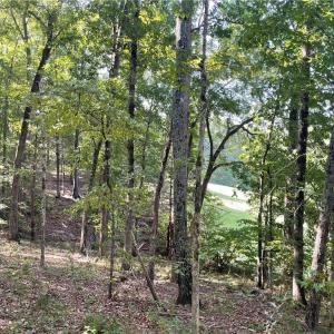 Photo #6 of 4736 Main, Winston-Salem, NC 22.0 acres