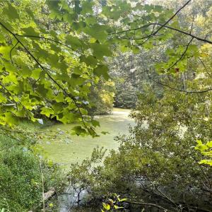 Photo #7 of 4736 Main, Winston-Salem, NC 22.0 acres