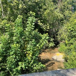 Photo #3 of 4736 Main, Winston-Salem, NC 22.0 acres