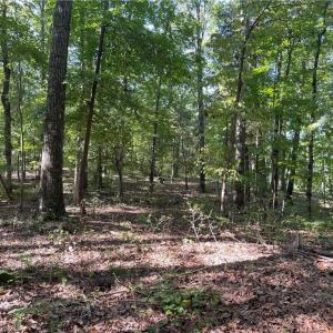 Photo #9 of 4736 Main, Winston-Salem, NC 22.0 acres
